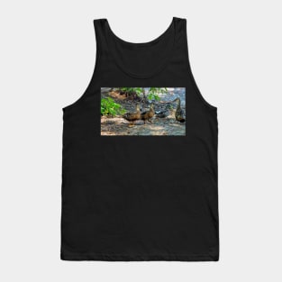 A Crested Mallard Duck Tank Top